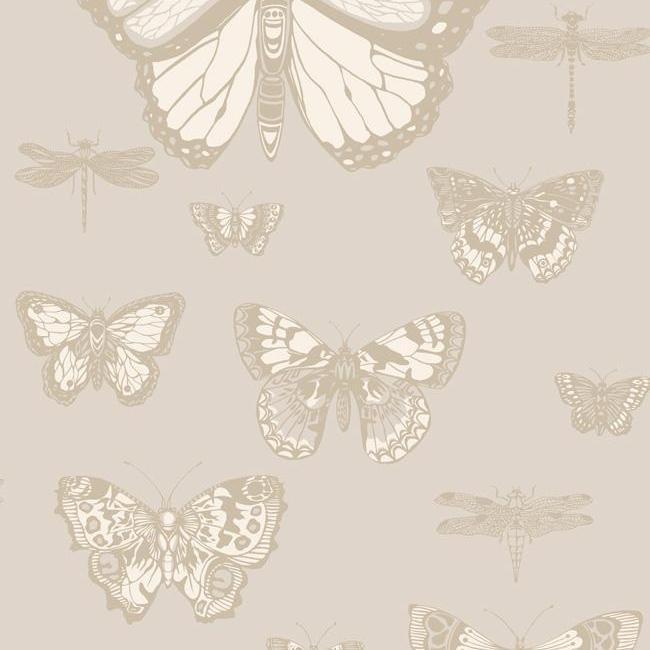 Butterflies & Dragonflies Wallpaper - Whimsical - Cole & Son