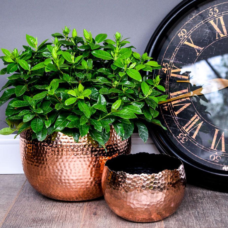 Copper Marrakesh Hammered Bowl Planter