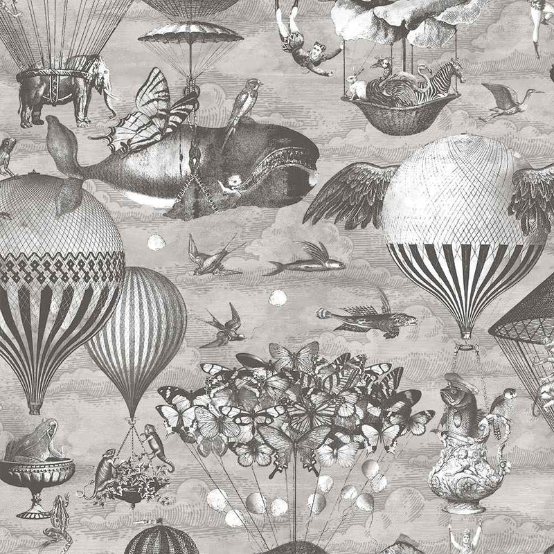 Curious Skies Wallpaper - Black & White - Brand Mckenzie