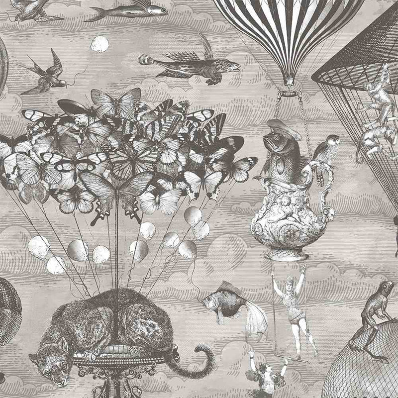 Curious Skies Wallpaper - Black & White - Brand Mckenzie