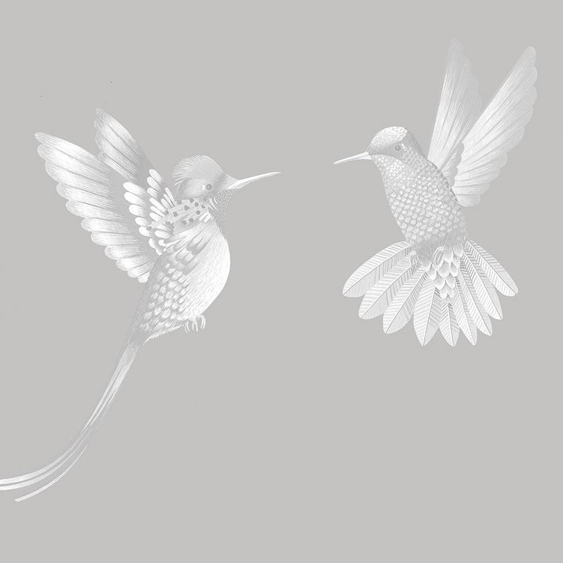 Exotic Birds Wallpaper - Concrete Grey - Brand Mckenzie