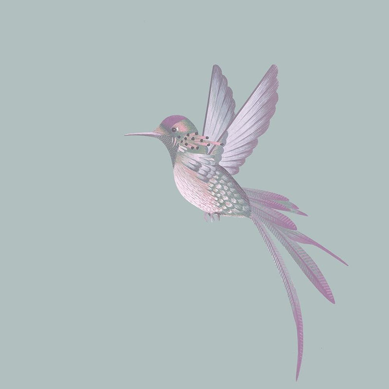 Exotic Birds Wallpaper - Duck Egg Blue - Brand Mckenzie