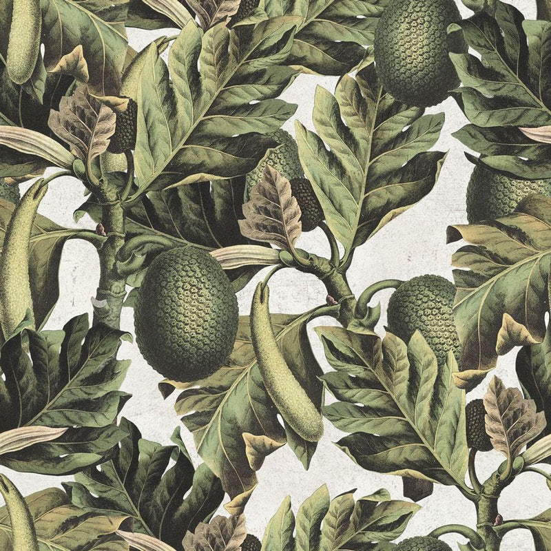 Exotic Fruit I Wallpaper - Set of 3 Rolls - MINDTHEGAP