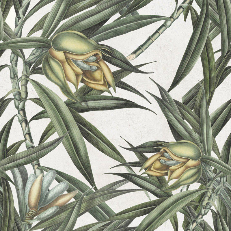 Exotic Fruit II Wallpaper - Set of 3 Rolls - MINDTHEGAP