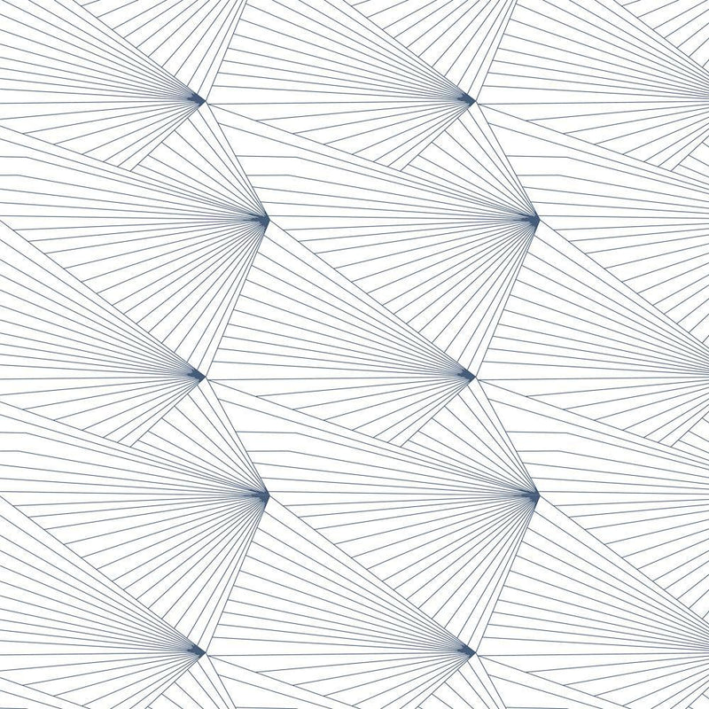 Fan Wallpaper - Erica Wakerly