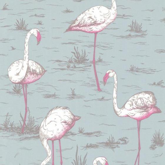 Flamingos Wallpaper - Contemporary Collection - Cole & Son