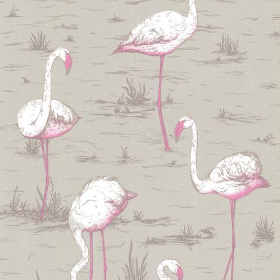 Flamingos Wallpaper - Contemporary Collection - Cole & Son