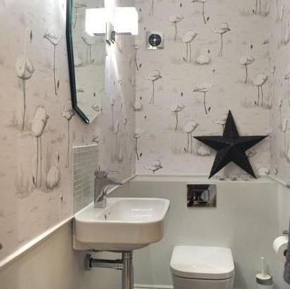 Flamingos Wallpaper - Contemporary Restyled - Cole & Son