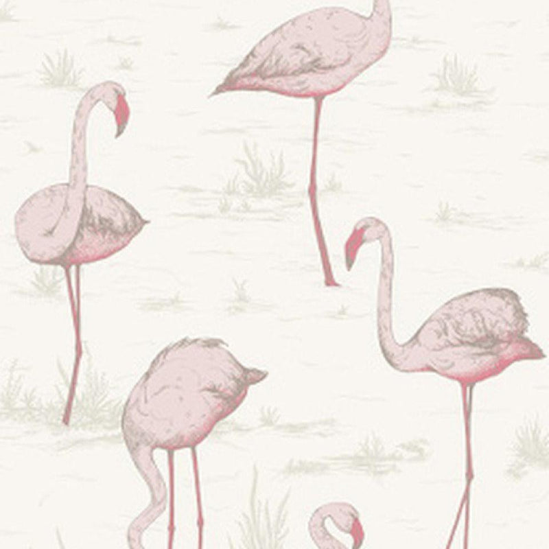 Flamingos Wallpaper - Contemporary Restyled - Cole & Son