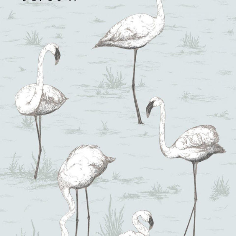 Flamingos Wallpaper - Contemporary Restyled - Cole & Son