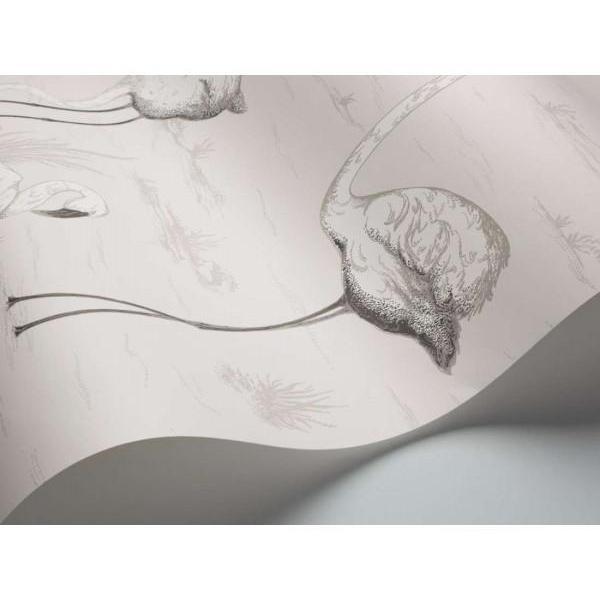 Flamingos Wallpaper - Contemporary Restyled - Cole & Son