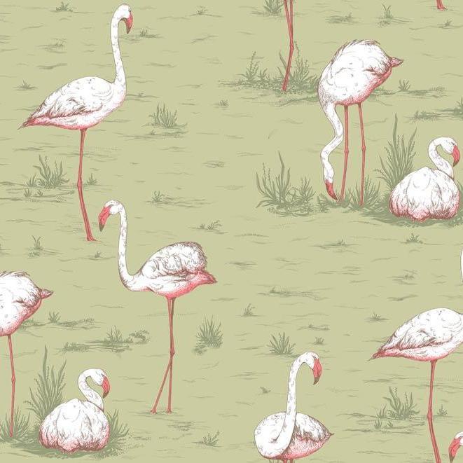 Flamingos Wallpaper - Icons Collection - Cole & Son