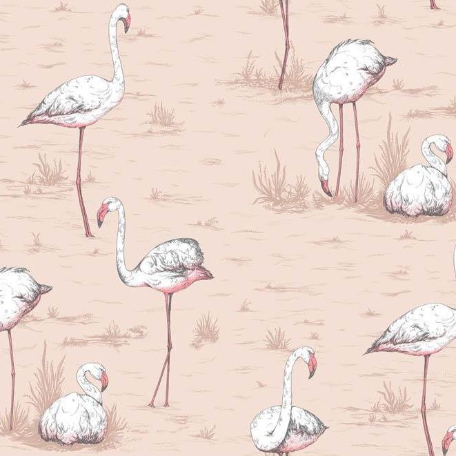 Flamingos Wallpaper - Icons Collection - Cole & Son