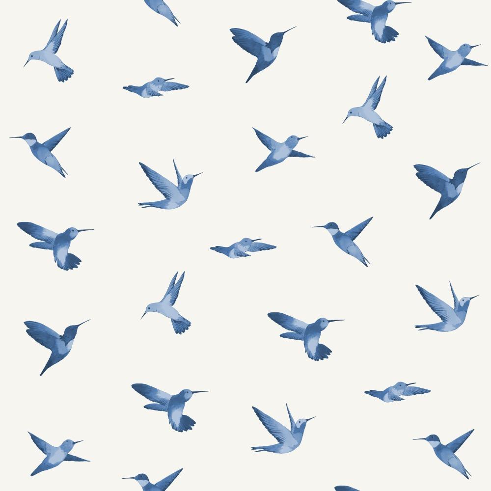 Humingbird Wallpaper - Stil Haven