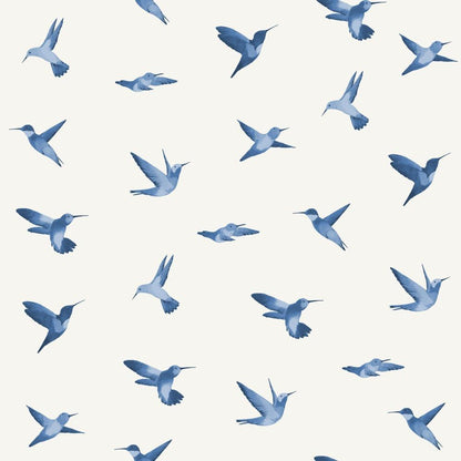 Humingbird Wallpaper - Stil Haven