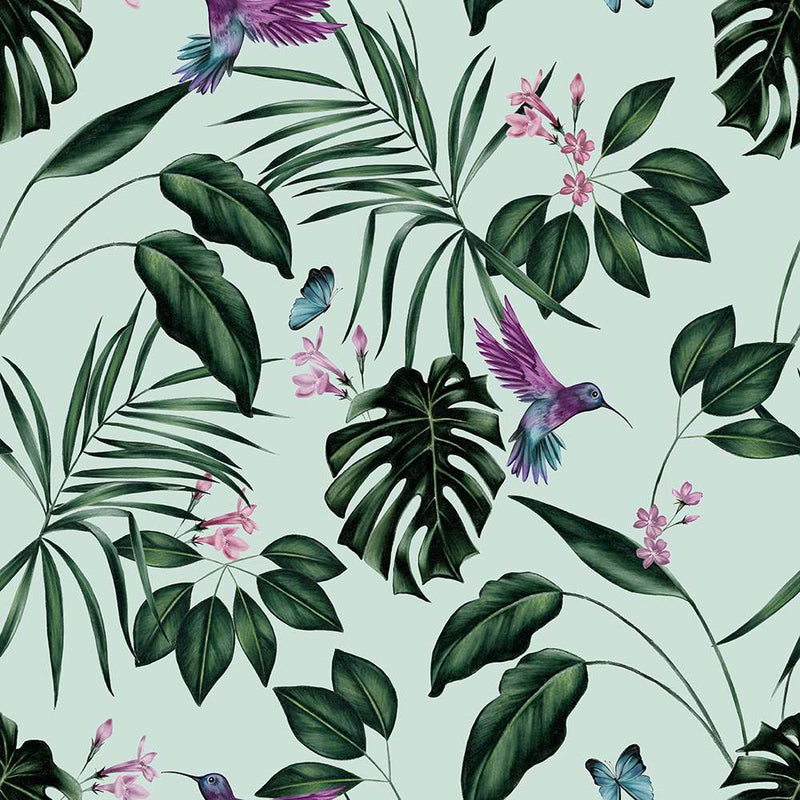 Hummingbird Wallpaper - Ohpopsi