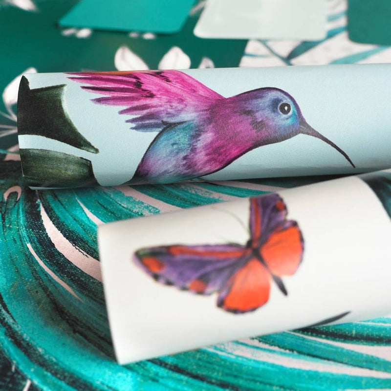 Hummingbird Wallpaper - Ohpopsi