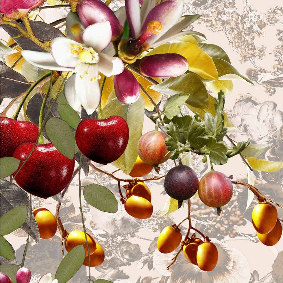 Hummingbirds Secret Garden Wallpaper - Tropical - Good & Craft