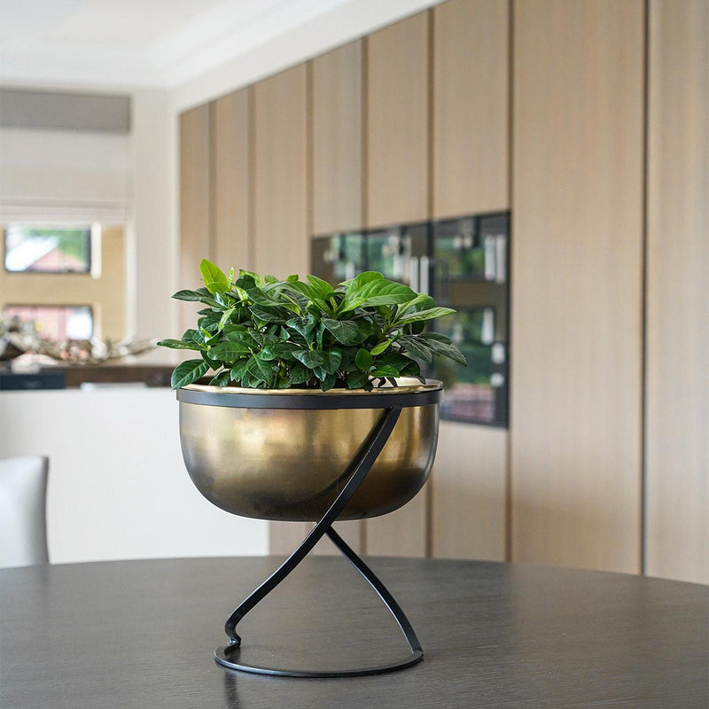 Indoor Brass Metal Bowl Planter & Stand