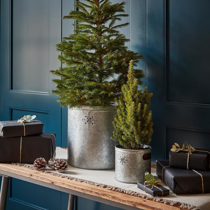 Indoor Christmas Tree Bucket with Star