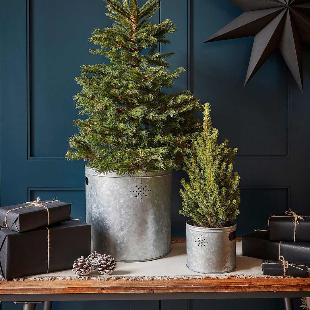 Indoor Christmas Tree Bucket with Star