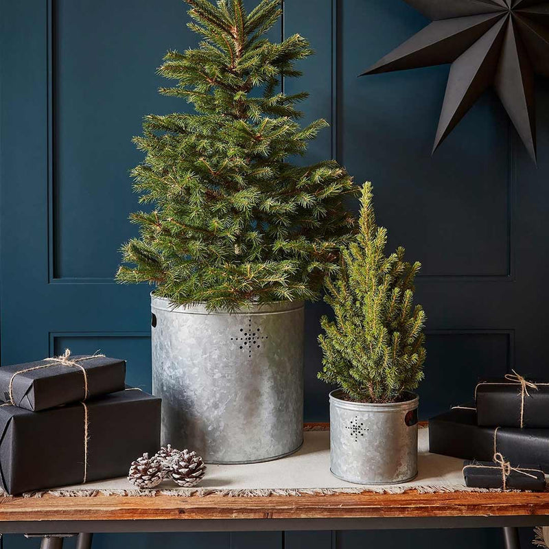 Indoor Christmas Tree Bucket with Star