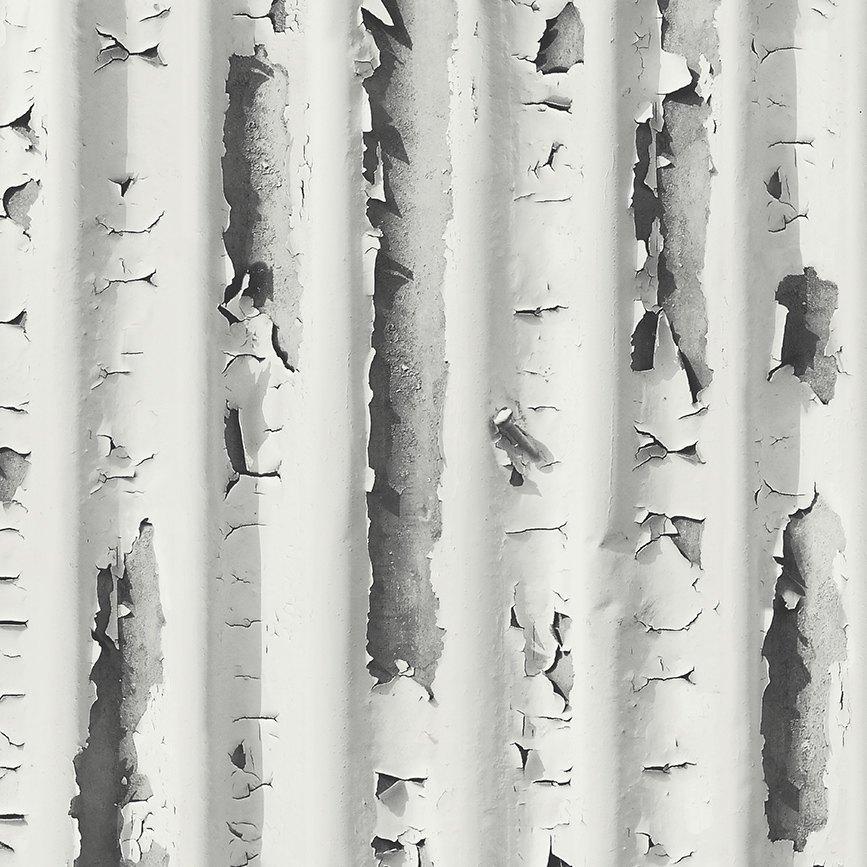 Industrial Corrugated Iron Wallpaper - 50610 - Today Interiors – Lime Lace