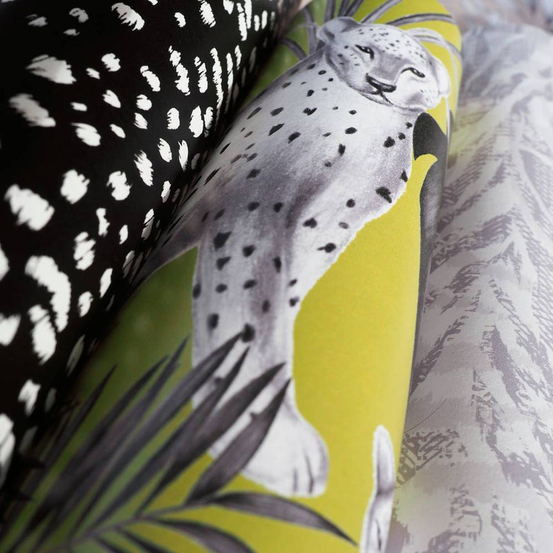 Jungle Cheetah Wallpaper - Ohpopsi