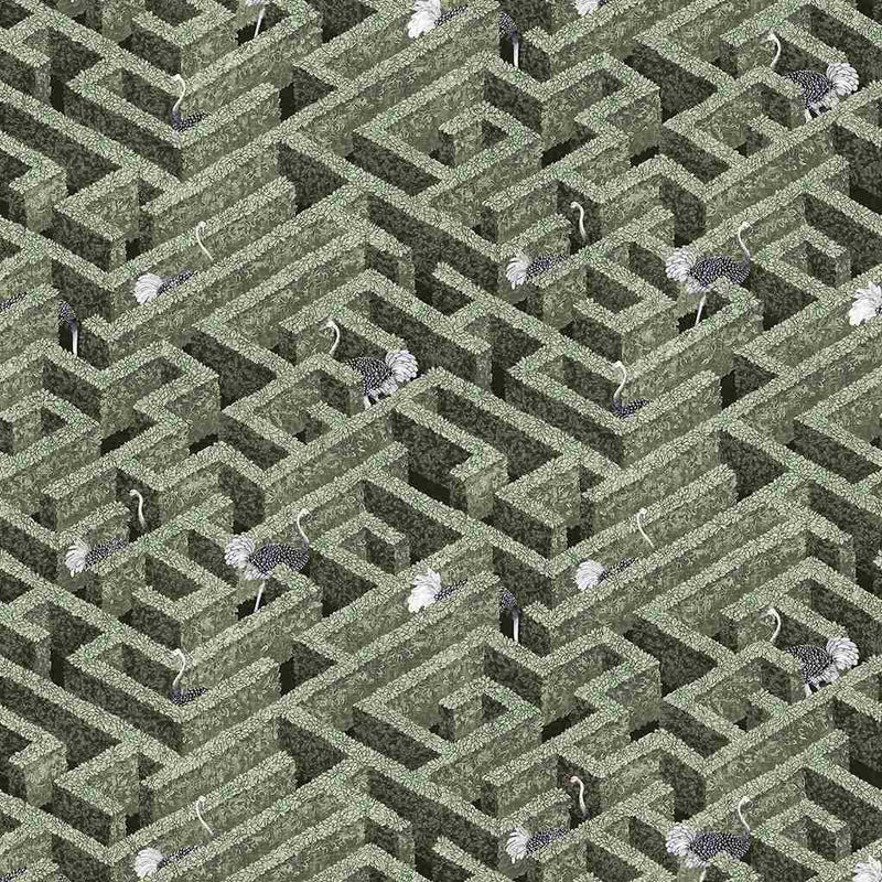 Labyrinth with Ostrich Wallpaper - Josephine Munsey