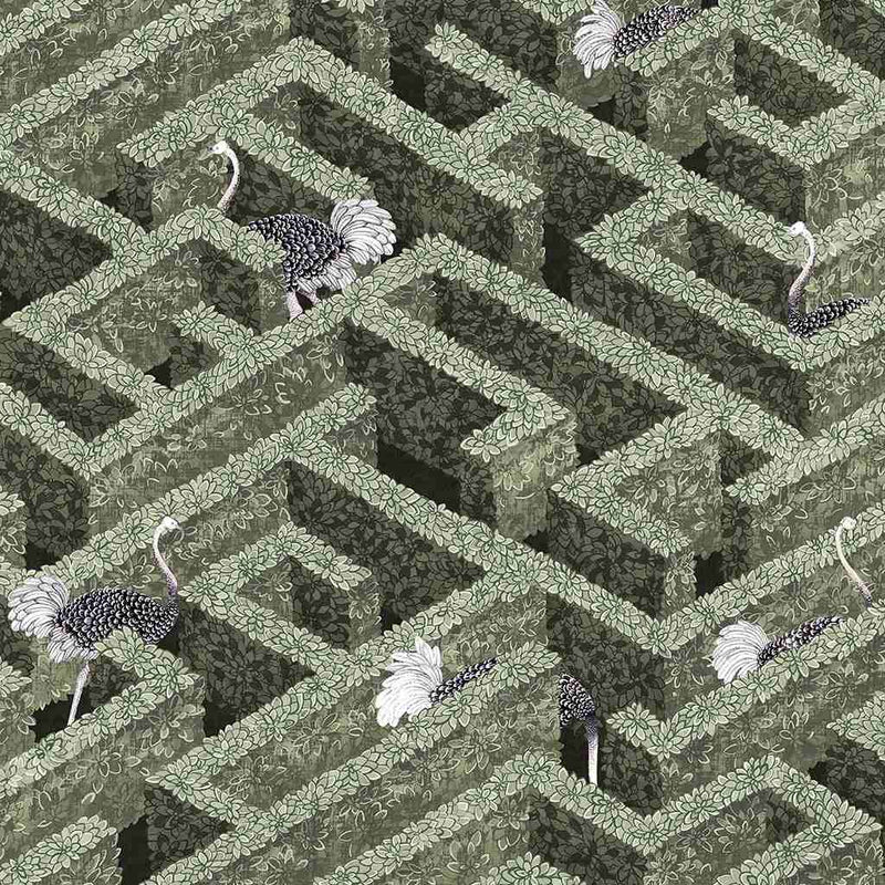 Labyrinth with Ostrich Wallpaper - Josephine Munsey