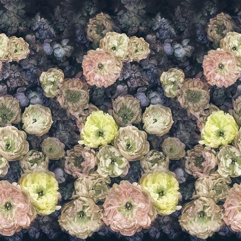 Le Poeme De Fleurs Wallpaper - Midnight - Designers Guild