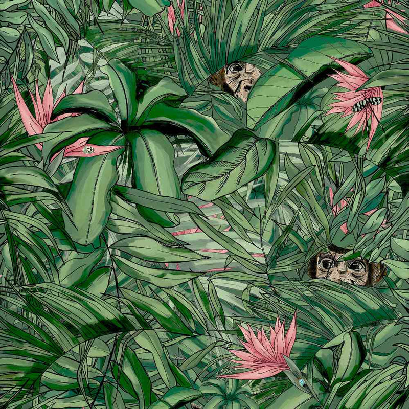 Monkey Forest Wallpaper - Dark Green & Pink - Brand Mckenzie