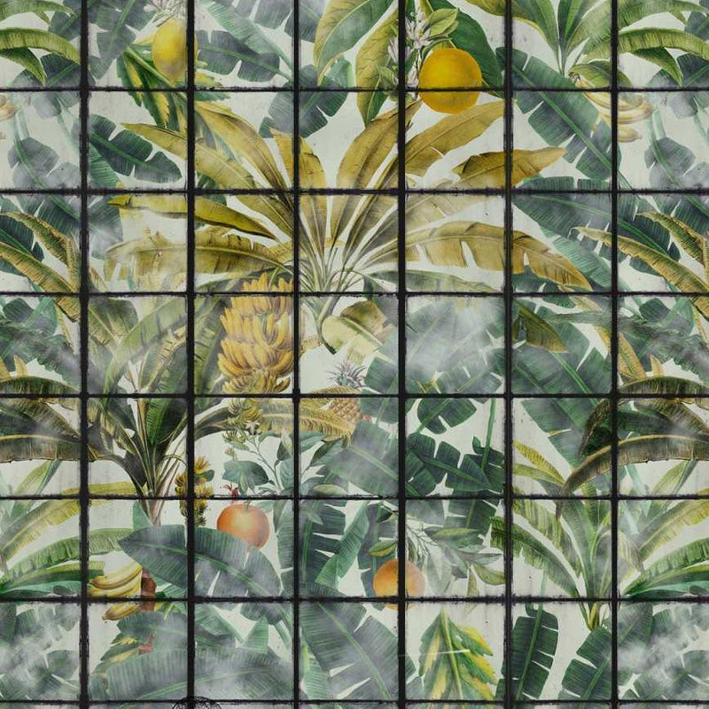 Orangerie Wallpaper - Set of 3 Rolls - MINDTHEGAP