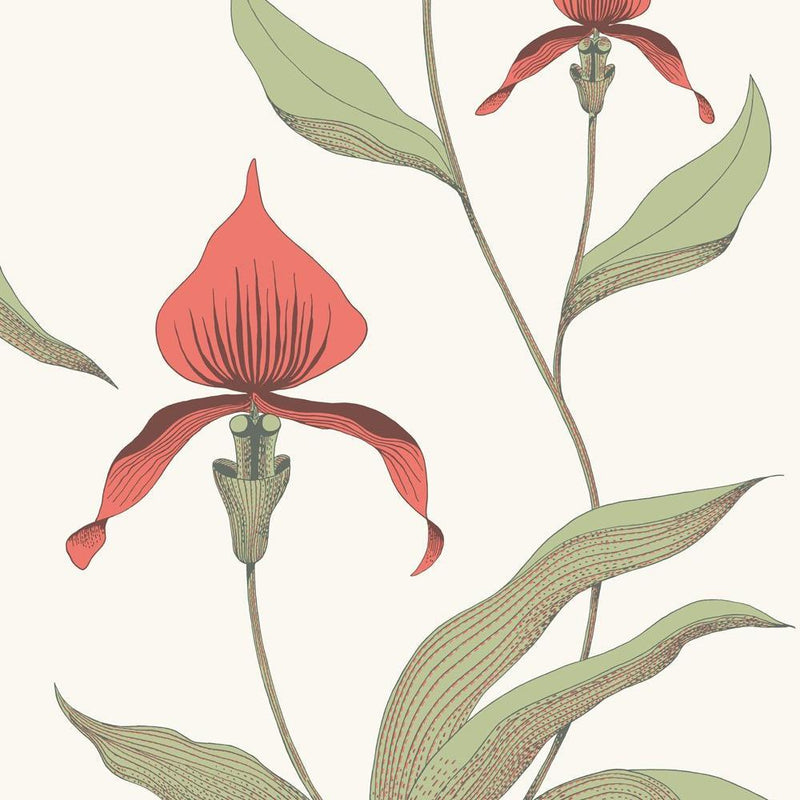 Orchid Wallpaper -The Contemporary Collection - Cole & Son