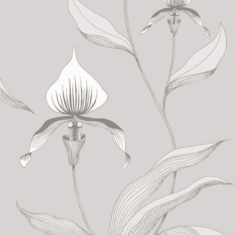 Orchid Wallpaper -The Contemporary Collection - Cole & Son