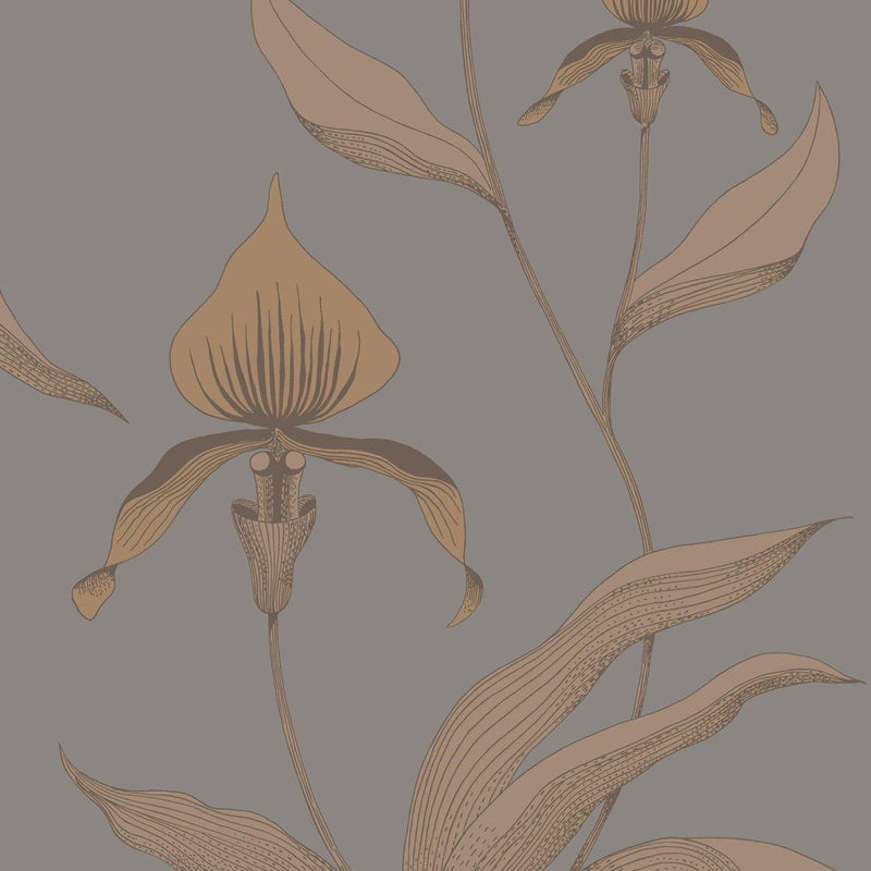 Orchid Wallpaper -The Contemporary Collection - Cole & Son