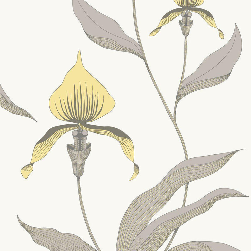 Orchid Wallpaper -The Contemporary Collection - Cole & Son