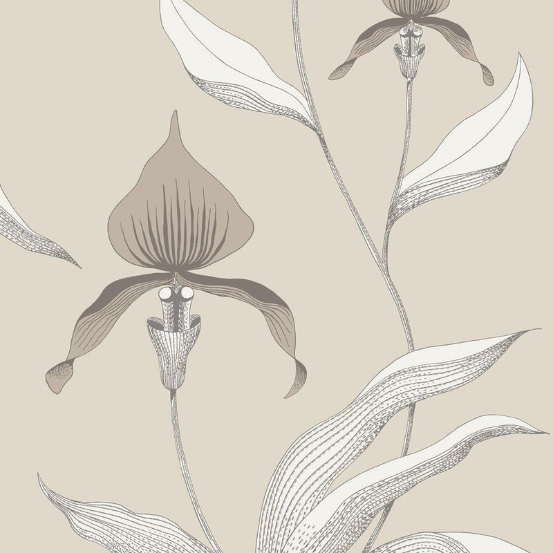 Orchid Wallpaper -The Contemporary Collection - Cole & Son