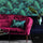 Palm Jungle Wallpaper - Contemporary Collection - Cole & Son