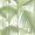 Palm Jungle Wallpaper - Contemporary Collection - Cole & Son
