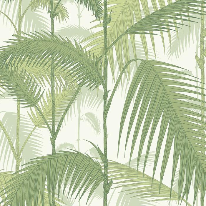 Palm Jungle Wallpaper - Contemporary Collection - Cole & Son