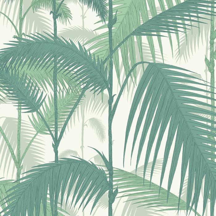 Palm Jungle Wallpaper - Contemporary Collection - Cole & Son