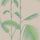Palm Leaves Wallpaper - Contemporary Collection - Cole & Son