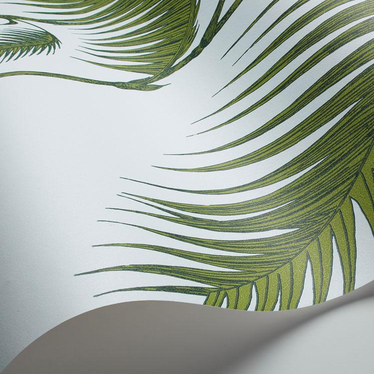 Palm Leaves Wallpaper - Contemporary Collection - Cole & Son