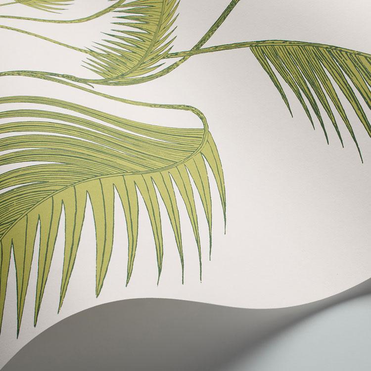 Palm Leaves Wallpaper - Contemporary Collection - Cole & Son