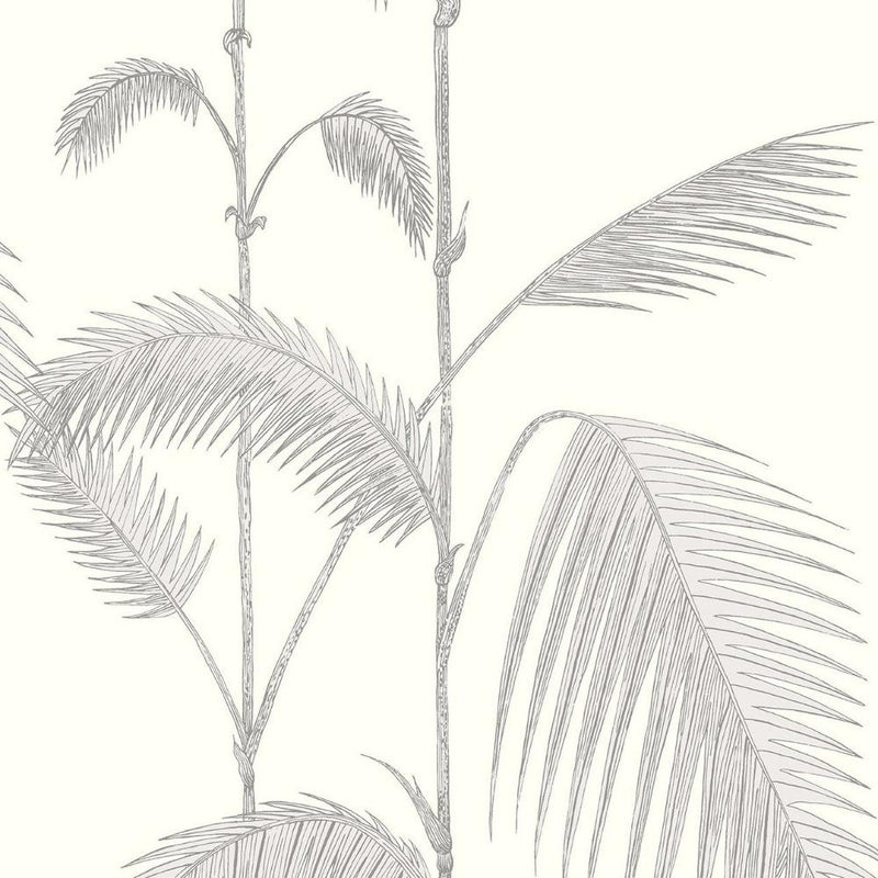 Palm Leaves Wallpaper - Contemporary Collection - Cole & Son