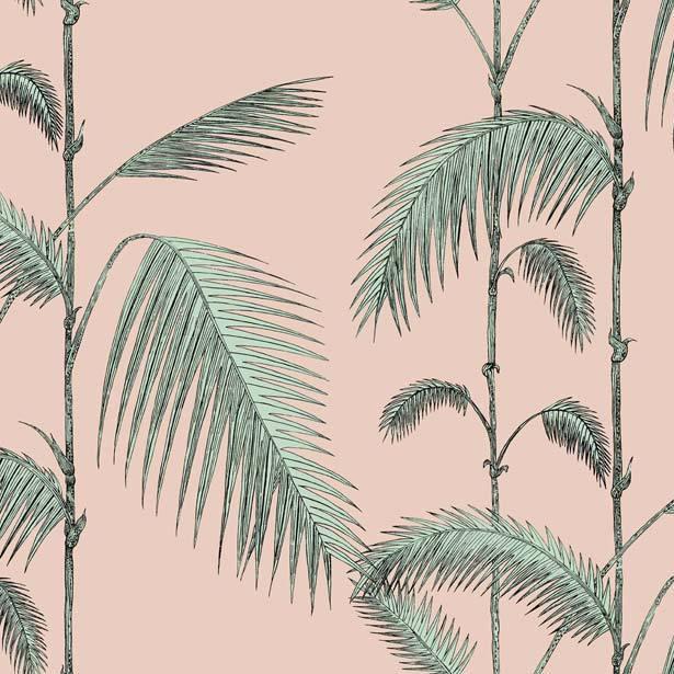 Palm Leaves Wallpaper - Icons Collection - Cole & Son