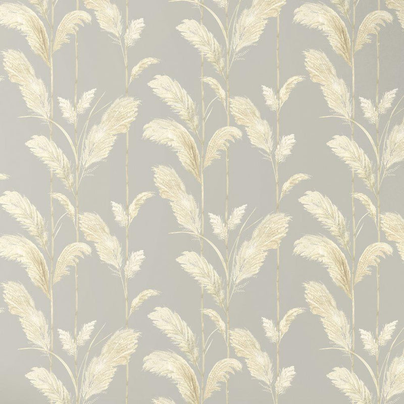 Pampas Grass Wallpaper - Neutral Grey - Brand Mckenzie