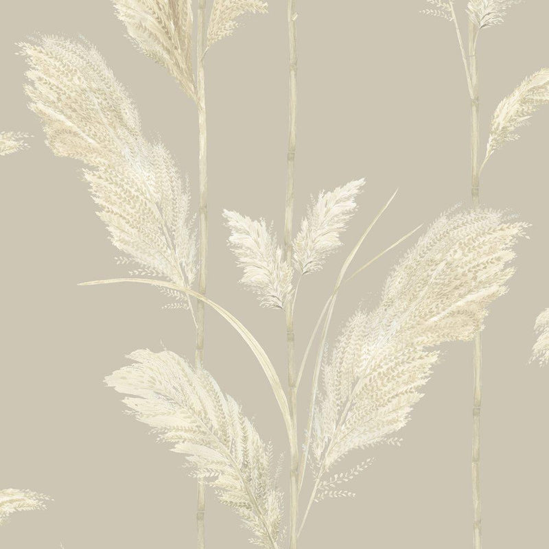 Pampas Grass Wallpaper - Oatmeal - Brand Mckenzie
