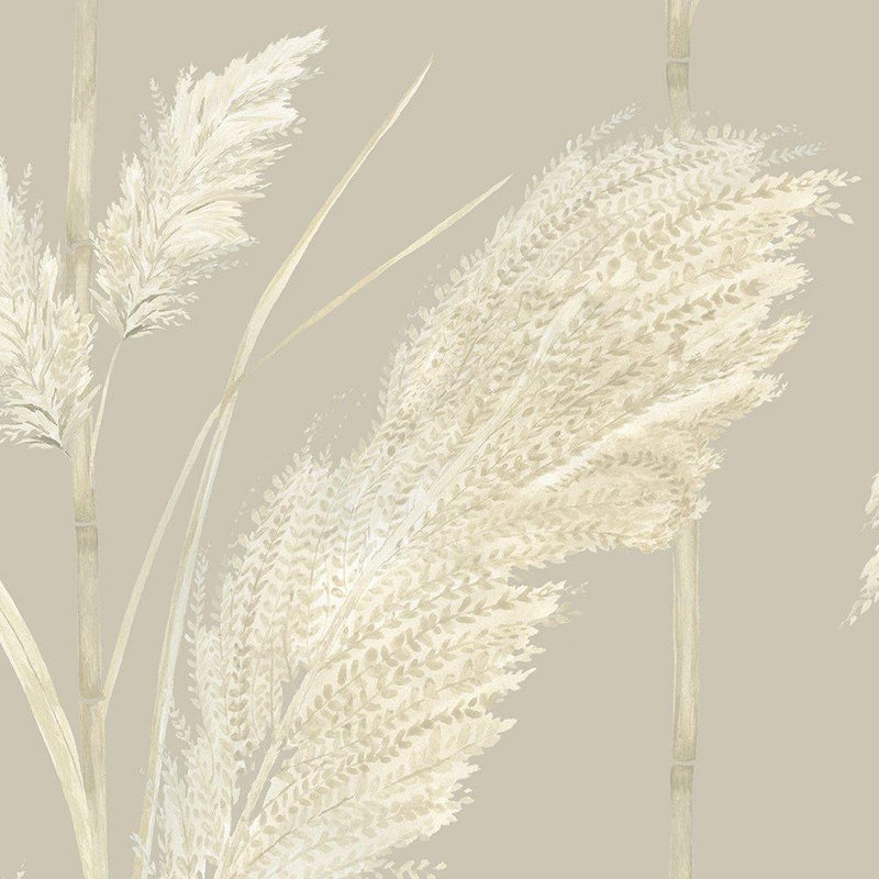 Pampas Grass Wallpaper - Oatmeal - Brand Mckenzie